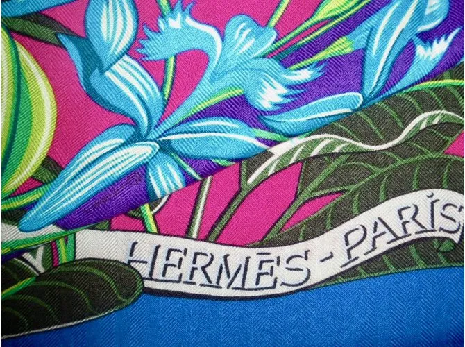 Hermès Bufanda de seda Multicolor 